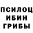 Псилоцибиновые грибы Psilocybe Mariana Migali
