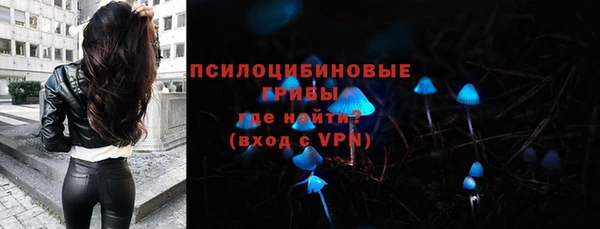 jwh Богородск