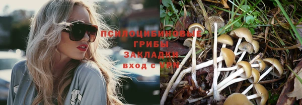 jwh Богородск