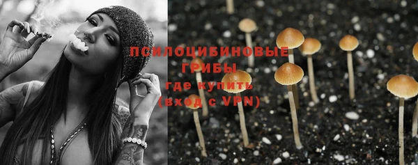 jwh Богородск